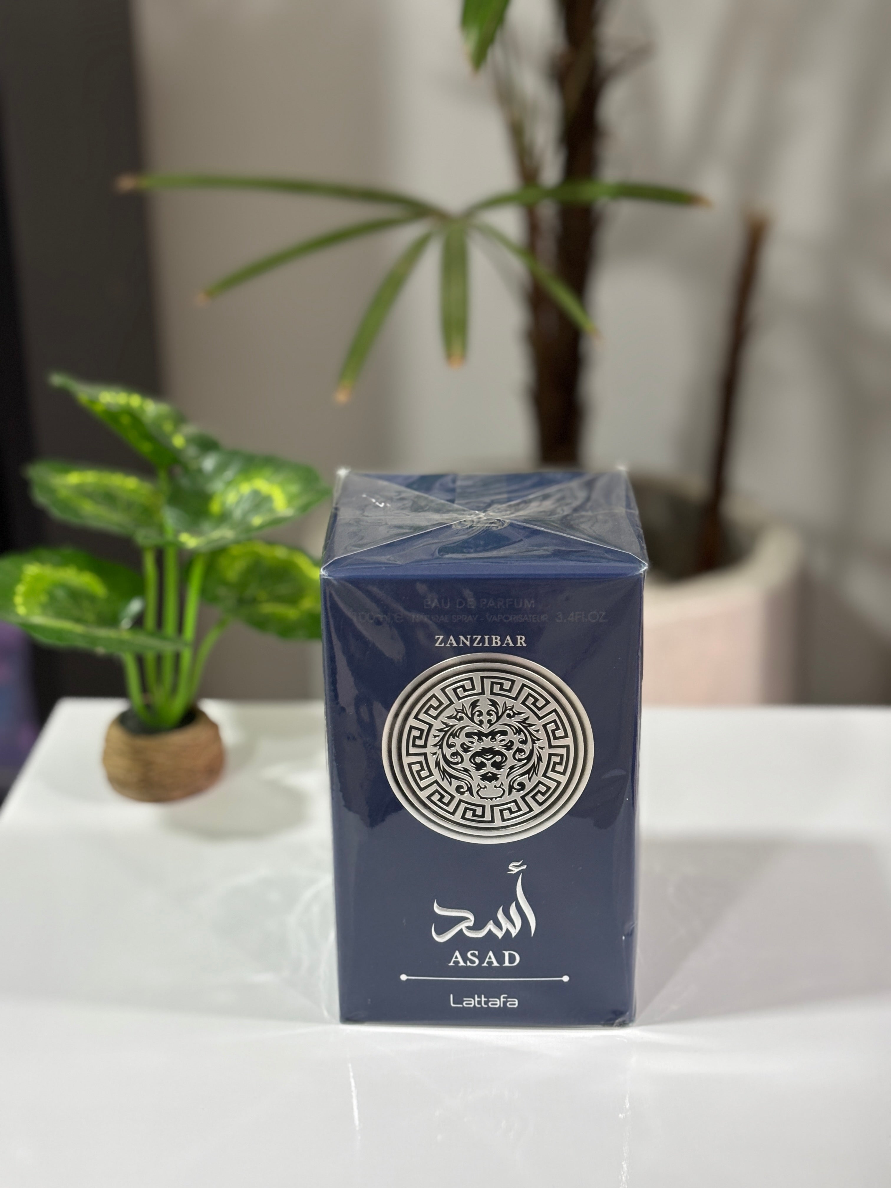 Asad Zanzibar 100ml - Lattafa