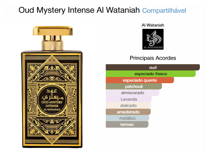 Oud Mystery Intense 100ml
